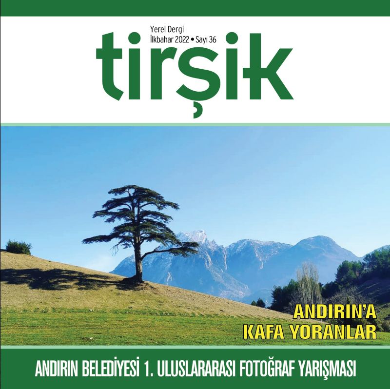 Tirik Dergisi 36. Say